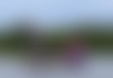 Independence Day Boat Parade 2025