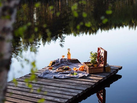 Annual Summer Meeting and Picnic