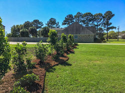 17191477_1922477021307563_3915361112598585441_n