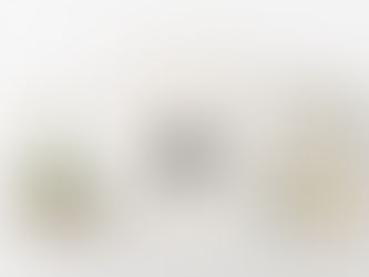 2021年 カレンダー完成