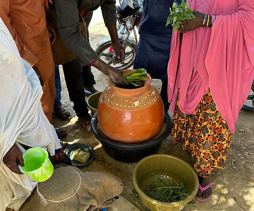 Clay pot cooler training participants adding leafy greens into a clay pot-in-dish cooler in Maradi, Niger.