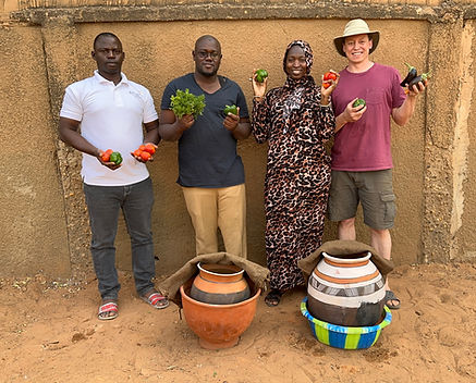 CoolVeg cover (Niger).jpg