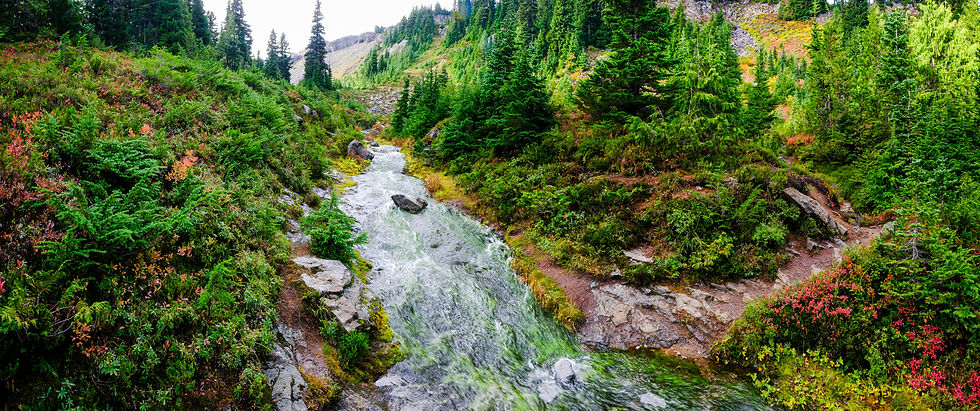 marmot creek Mount Rainier National Park