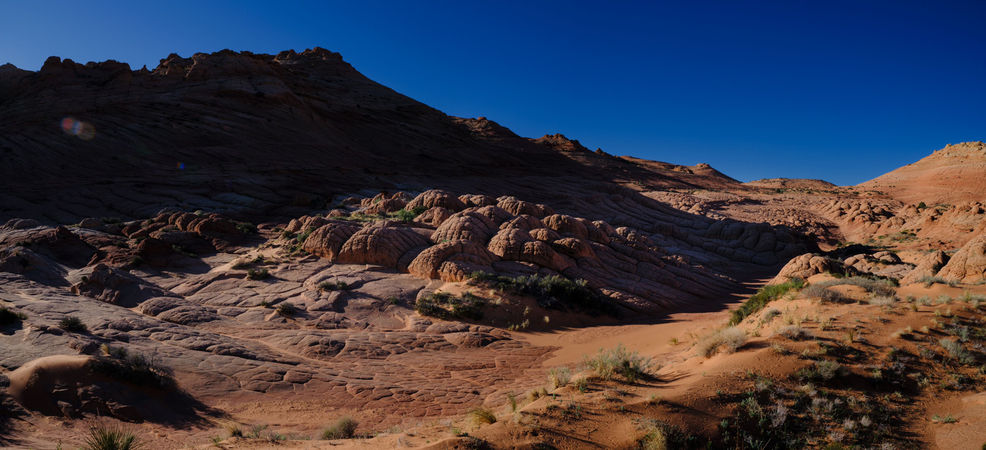Brain Rocks in Morning Light