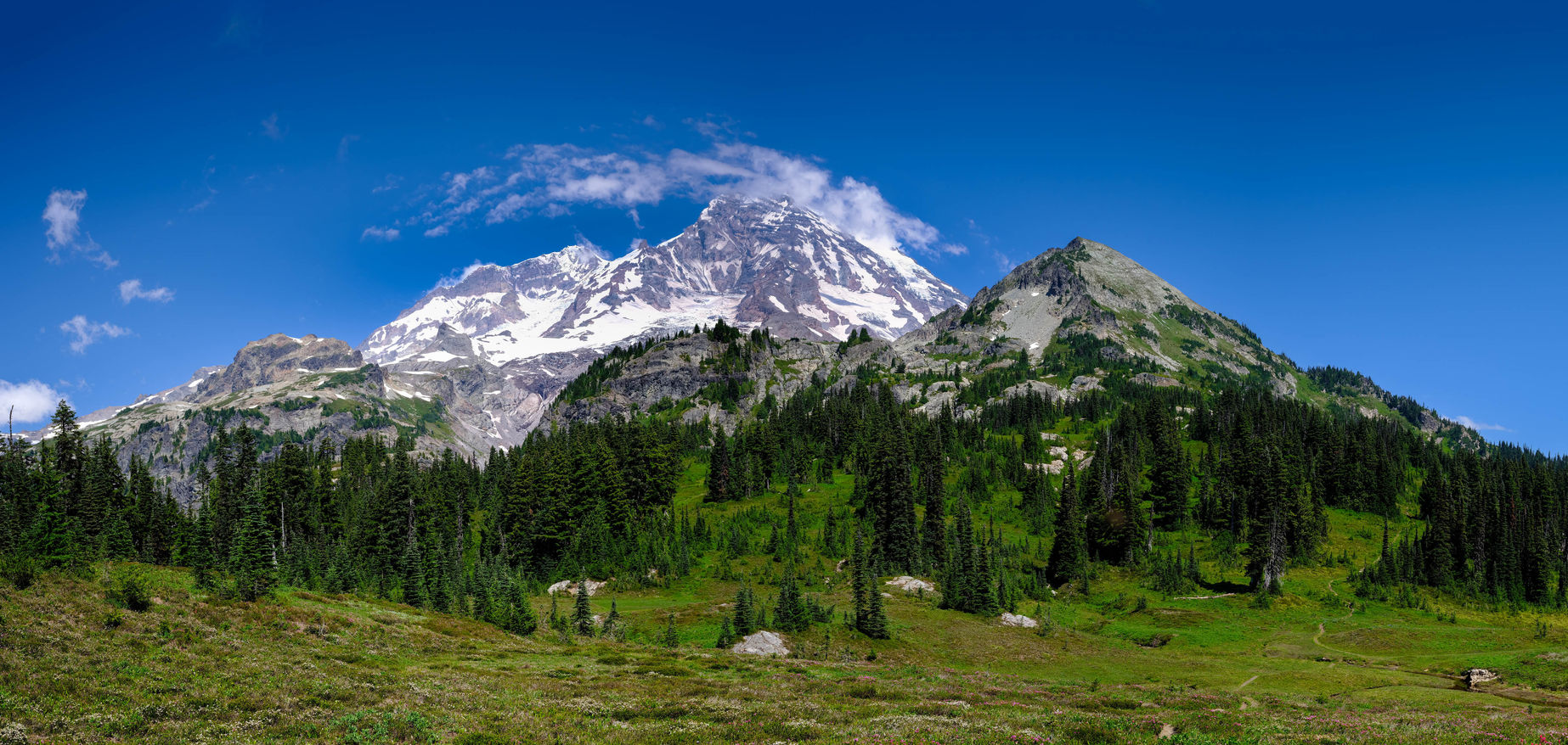 Mount Rainier and Pyramid Peak from Pyramid Park  Landscape Panorama Giclee