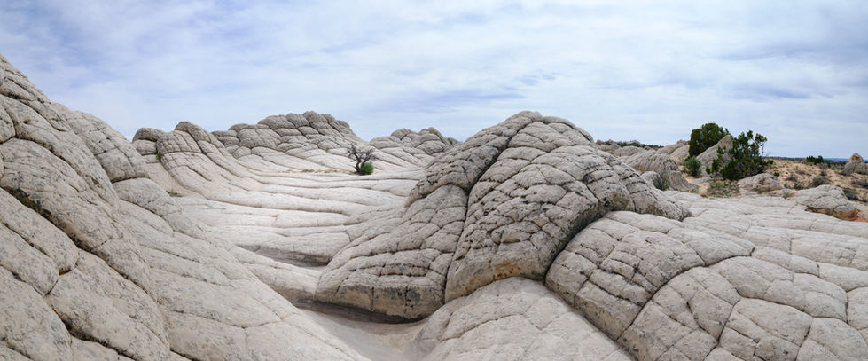 White Pocket BLM Vermillion Cliffs Wilderness sandstone formations canyon Fujifilm Landscape Photography
