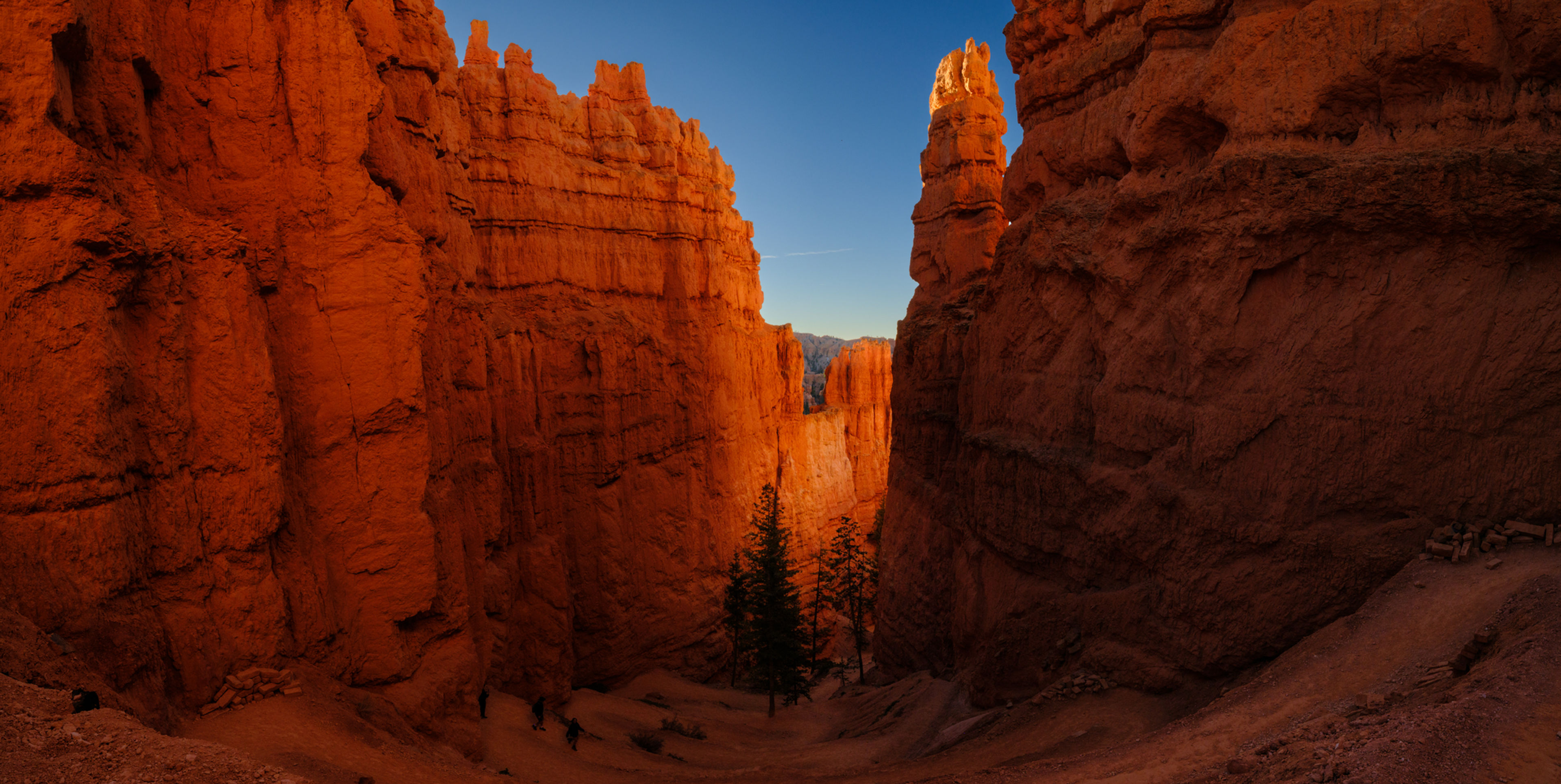 Shaded Gully