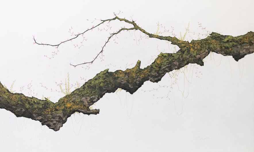 Echoes of Verdure vol II