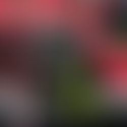 CATANIA – USB VVF PROTESTA CONTRO LA CARENZA DI PERSONALE