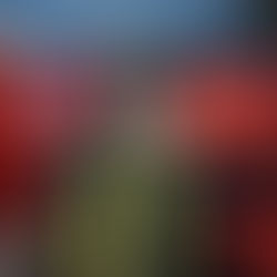 CATANIA – LA PROCURA INDAGA SULL’ ESPLOSIONE NEL CENTRO STORICO