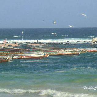SENEGAL – ULTIMA SPIAGGIA: LE CANARIE – IN 426 ANNEGANO NELL’ATLANTICO