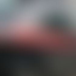 FIRENZE: RAGAZZE, GENDARMI E OLTRE