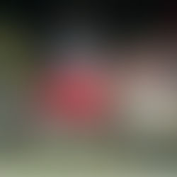 QUARGNENTO (AL) − PERDONO LA VITA 3 VIGILI DEL FUOCO: LE ISTITUZIONI SONO PRONTE AD ELARGIRE NUOVE P