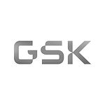 GSK Logo_edited.jpg