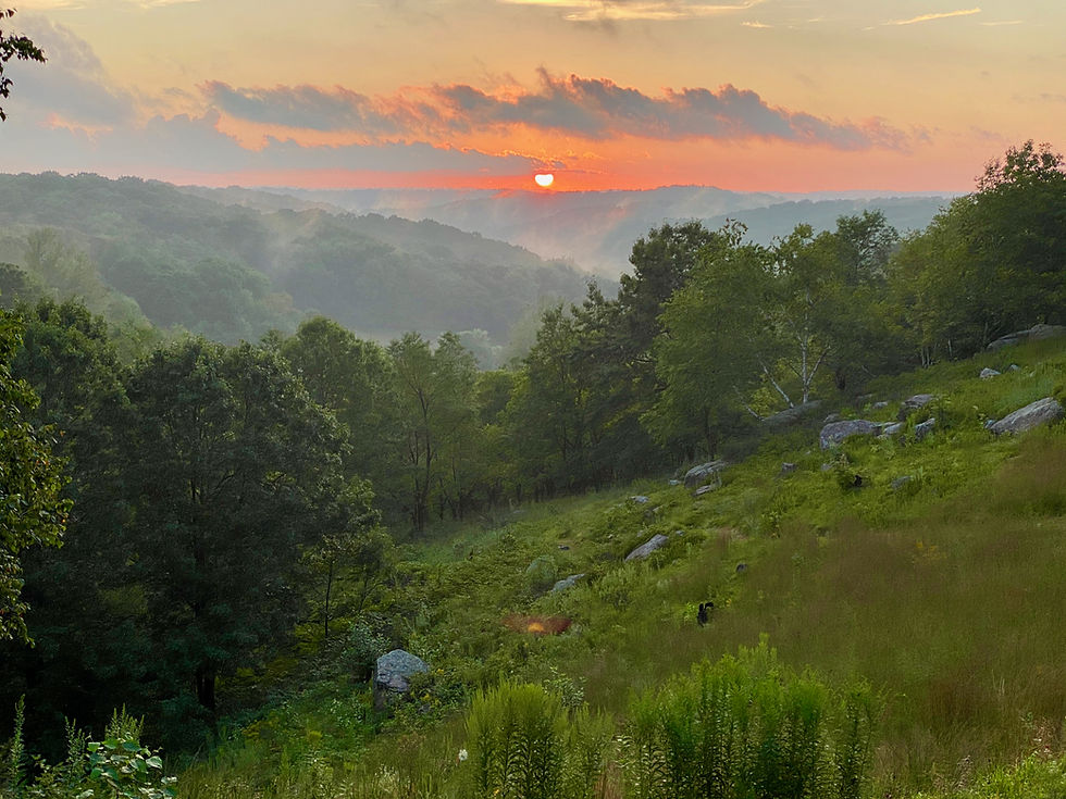 Walk with a Naturalist - Blue Mounds State Park to Parrish Oak Savanna