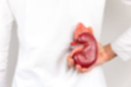 Getting-to-Know-Your-Kidneys.jpeg