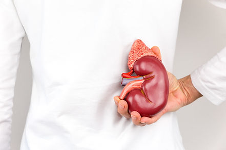 Getting-to-Know-Your-Kidneys.jpeg