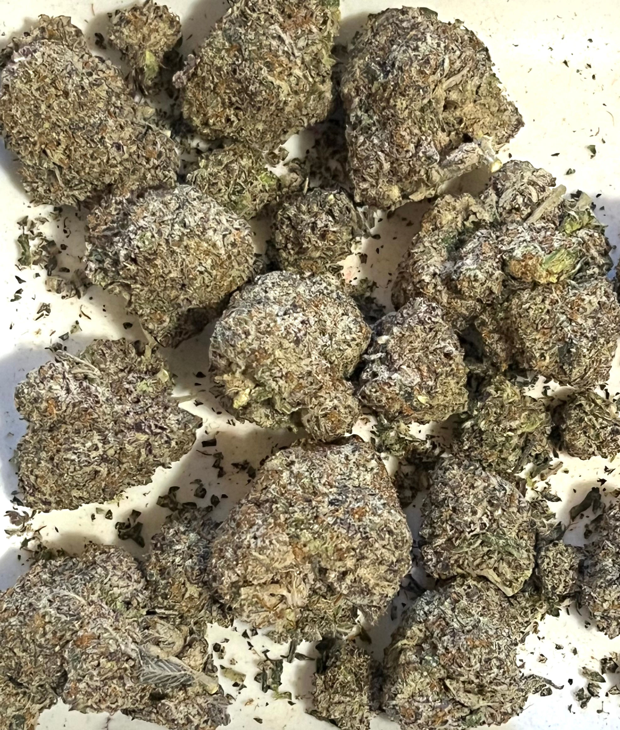 Purple Kush