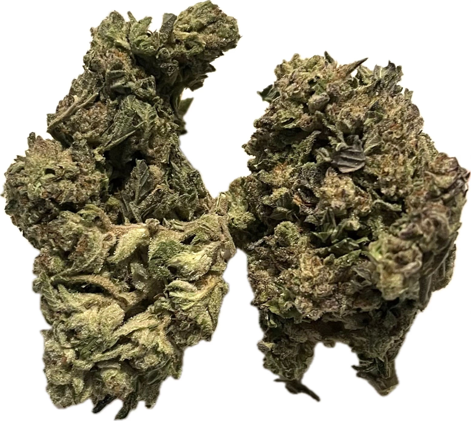 Mint Cookie