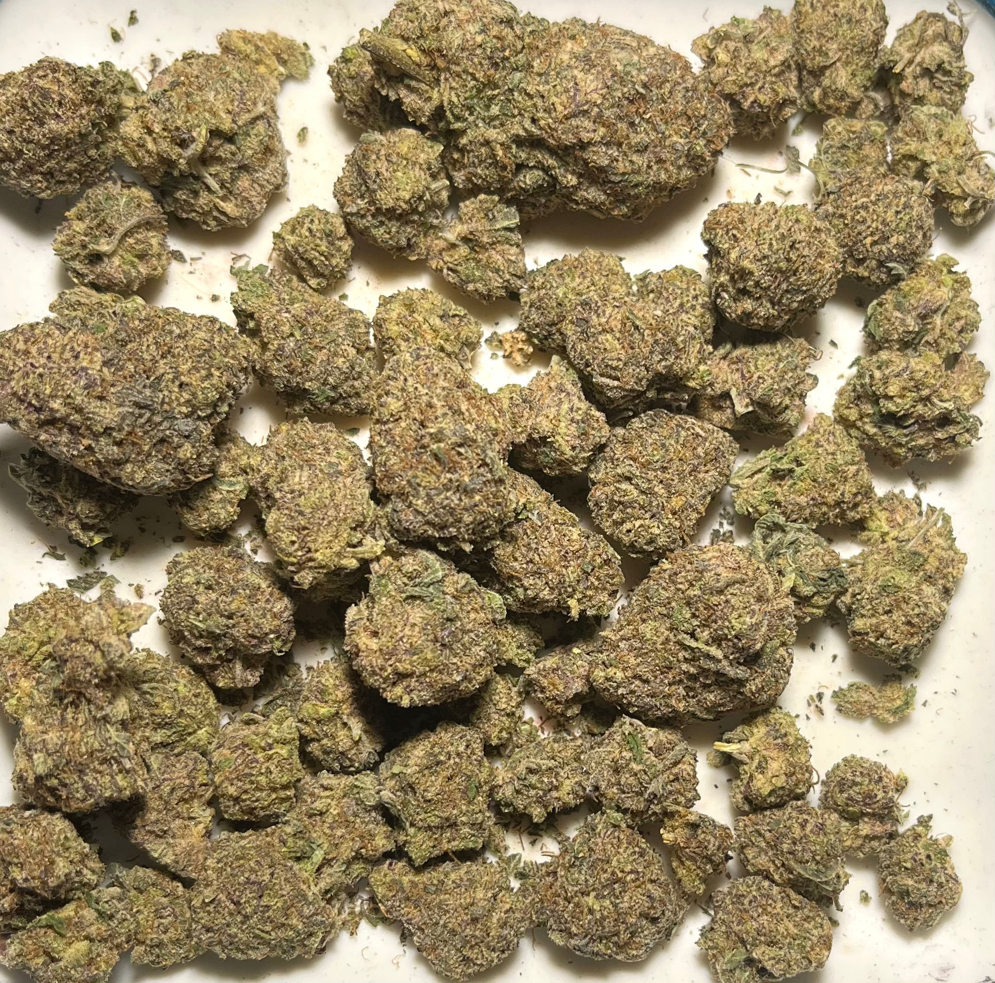 Purple White Lightning