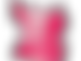 Pink bird cage