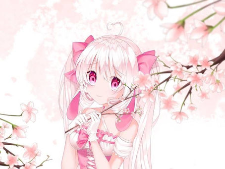 Flowering Sakura