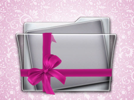 Silver portfolio with ribbons