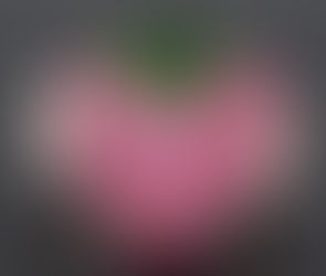 Bejeweled strawberry ring