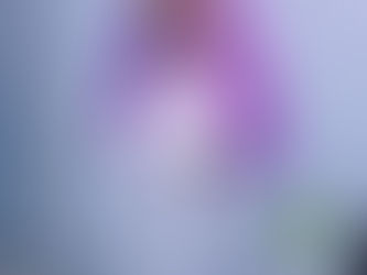 Lilac reads her diary