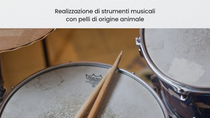La pelle e il cuoio nella musica