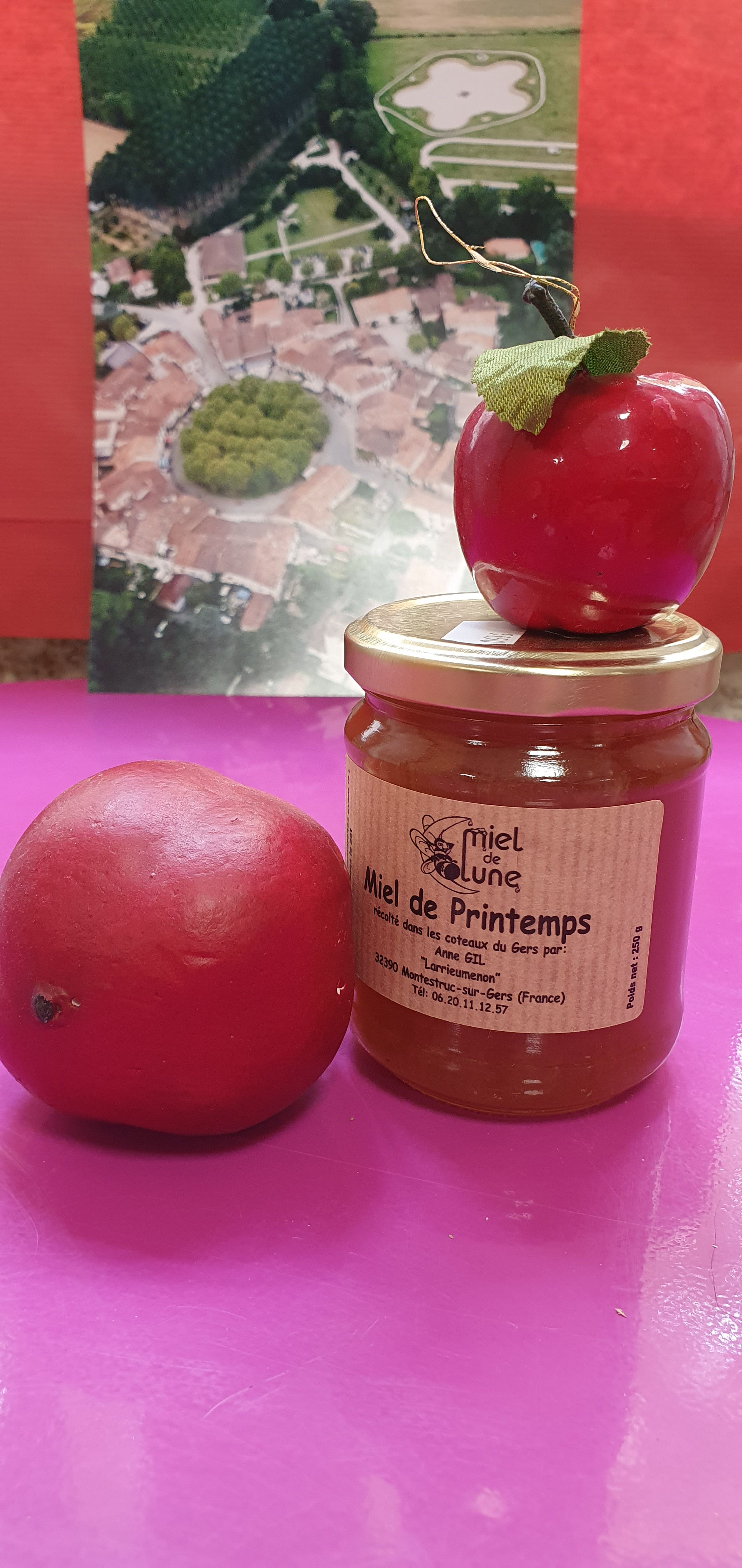 Miel de printemps 250g