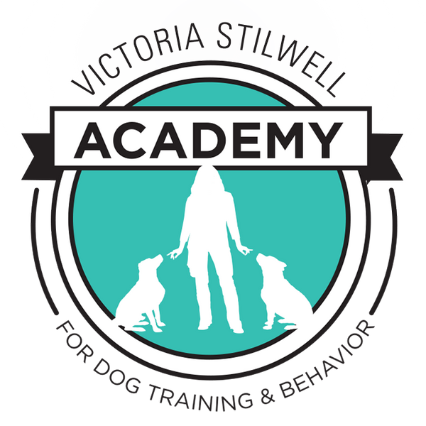 VSA logo_teal.png