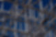 Steel Framing_edited.jpg