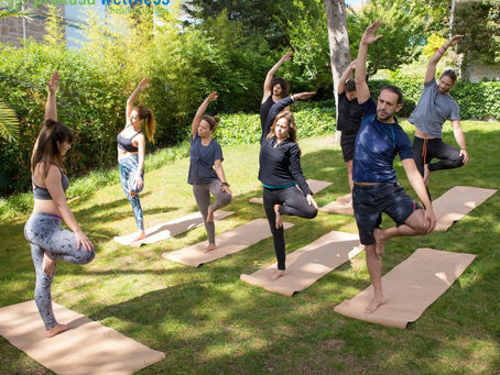 How Wellness Workshops Boost Mental Clarity and Lower Stress Levels