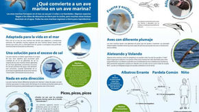 Student Fact Sheets