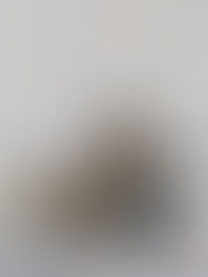 A Virtual Assistant Sitting on a Couch while Busy Working on Her Laptop