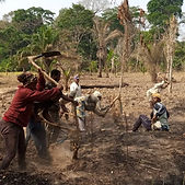 Empoderamiento a la mujer campos de agricultura en Baturi