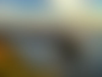 Managing Invasive Species: Japan’s Battle Against Florida’s Green Anole