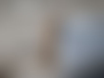 Friend or Foe: The Relationship between the Northern Curly Tail and Florida's Green Anole