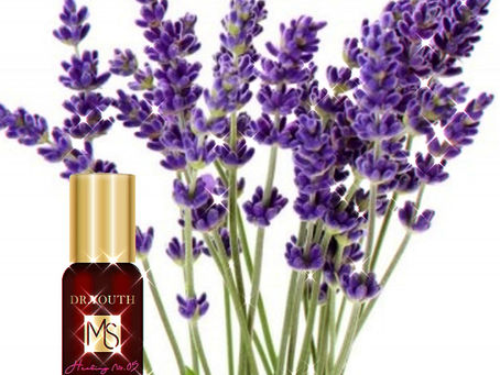 One of Dr.YOUTH Aroma Roll-on Oil's natural ingredient, Lavender Essential Oil.