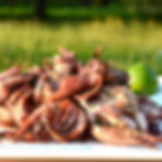 Calamar BBQ