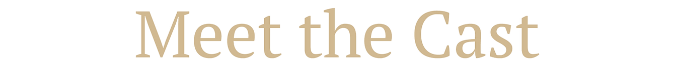 meet the cast.png