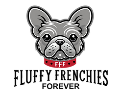 Fluffy Frenchies Forever Premier French Bulldog Breeder