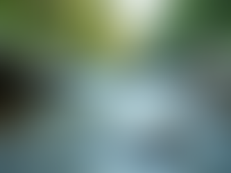 The Divine Feminine and Masculine Energy: Understanding and Balancing the Dual Forces