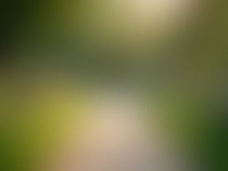 Life After People Pleasing and Codependency