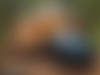 The Best Road Trips to Take In Manitoba with Your Jeep Grand Cherokee