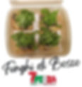 Funghi di Bosco