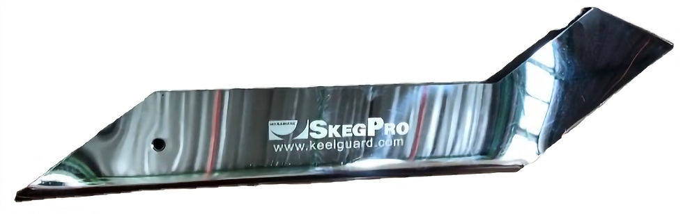 Thumbnail: Skeg Protector Mercury Optimax 135/150/175 2.5L