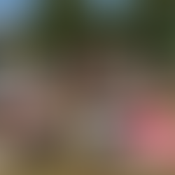 We went to fantasty forest festival... Here's what we found.