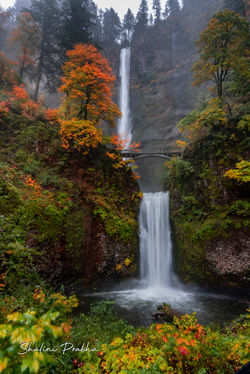 multnomah falls 4